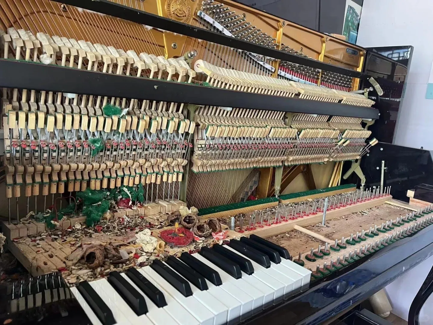 El piano y el piano eléctrico, conocidos como el rey de los instrumentos musi...